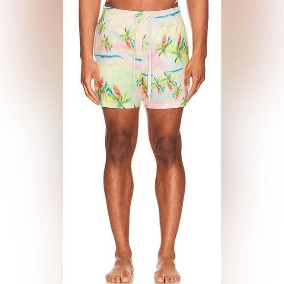 Duvin Other - Duvin Pastel Palmy Swim Shorts size L NWOT